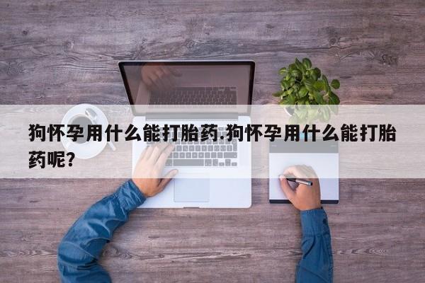 堕胎药购买方式狗怀孕用什么能打胎药.狗怀孕用什么能打胎药呢？