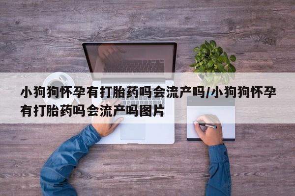 堕胎药购买方式小狗狗怀孕有打胎药吗会流产吗/小狗狗怀孕有打胎药吗会流产吗图片
