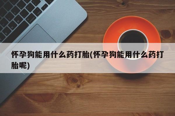 堕胎药购买方式怀孕狗能用什么药打胎(怀孕狗能用什么药打胎呢)